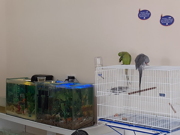 Foto 3 Mercadinho Pet