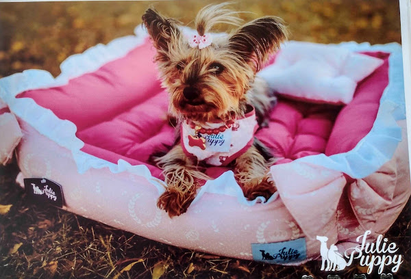 Negro Gato Rações Negro Gato Rações