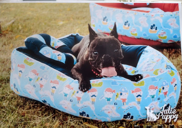 Foto 1 Negro Gato Rações