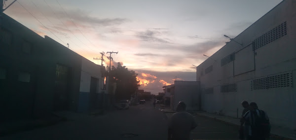 Foto 3 Pranimais Rações