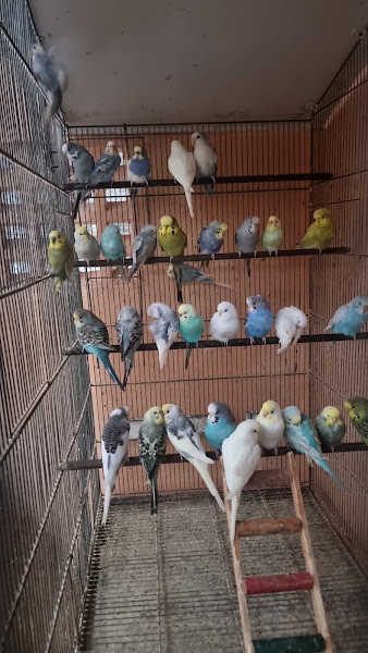 Foto 1 Exótic Pets Fortaleza