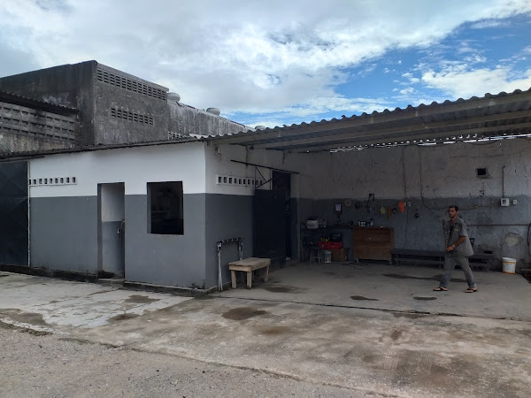 Foto 3 Performance Automotivo