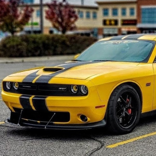 Foto 4 Felix Suspensão