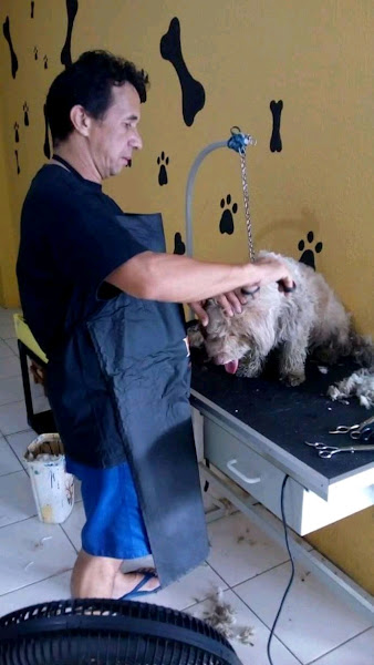 Foto 4 Arena Pet Shop