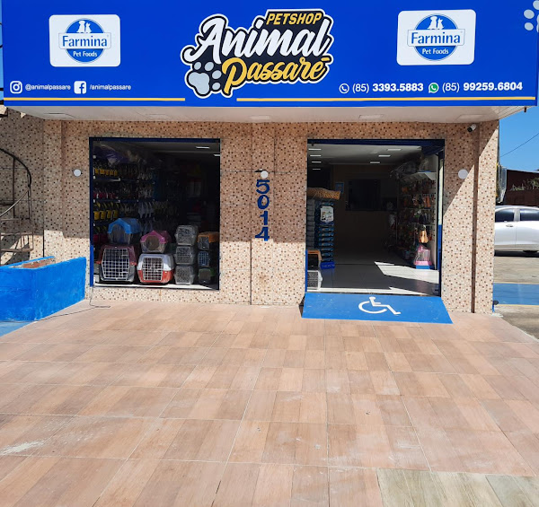 Pet Shop Animal Passaré Pet Shop Animal Passaré