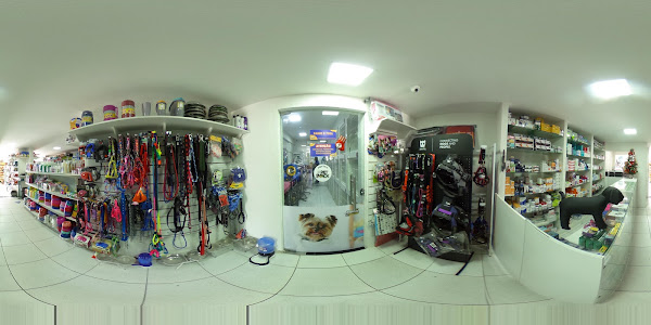 Foto 2 Pet Shop Animal Passaré