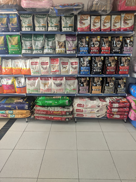 Foto 3 Pet Shop Animal Passaré