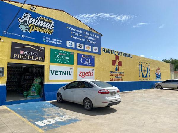 Foto 5 Pet Shop Animal Passaré