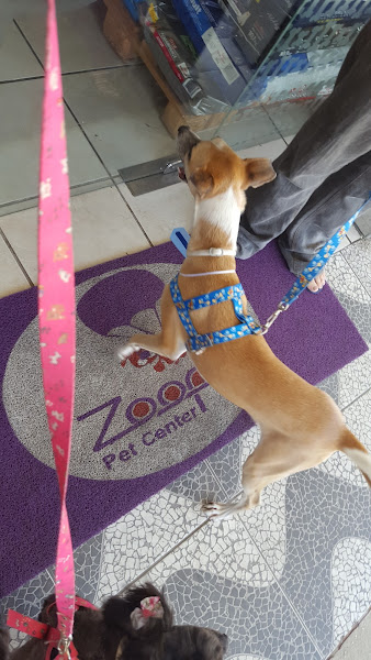 Foto 2 Zoopy PetCenter