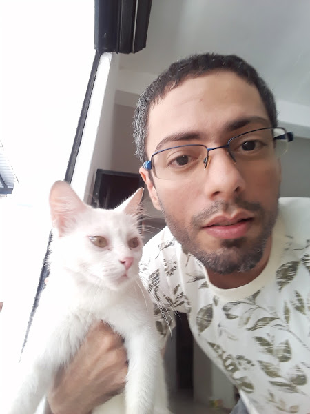 Foto 1 Pet Shop Stories