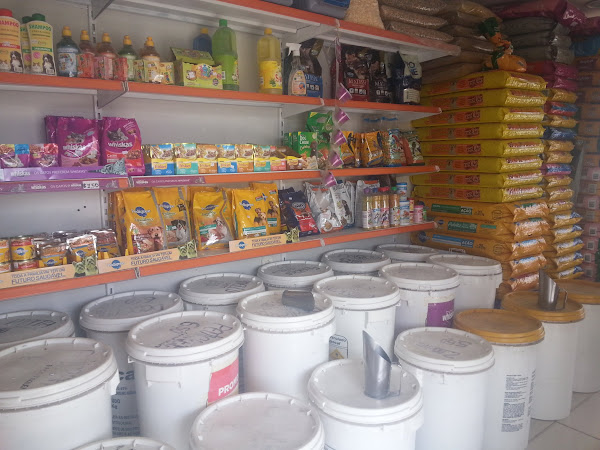 Foto 1 Santo Antônio | Pet Shop