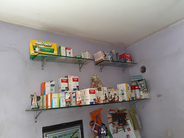 Foto 2 Santo Antônio | Pet Shop