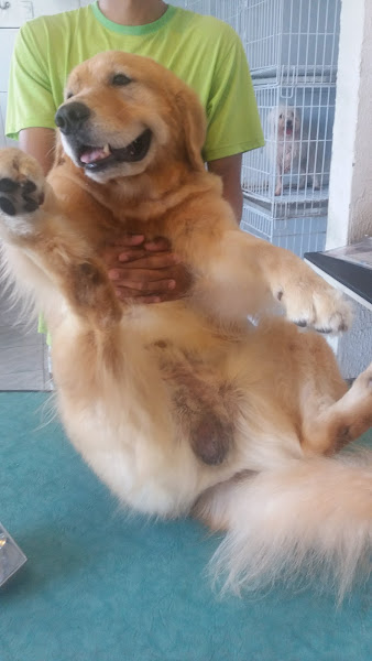 Foto 5 Santo Antônio | Pet Shop