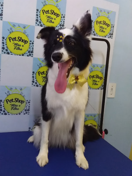 Foto 2 Pet Shop Mãe e Filha