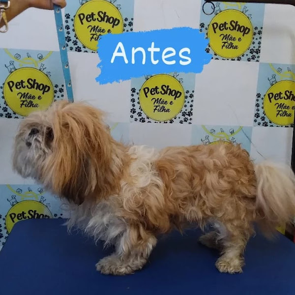 Foto 3 Pet Shop Mãe e Filha
