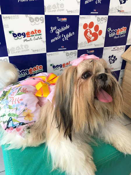Foto 2 Doggato Pet Store