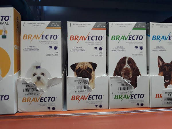 Foto 5 Doggato Pet Store