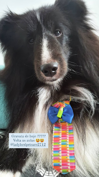 Foto 1 Lady & Lord Pet Care