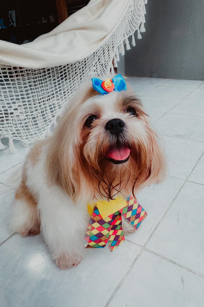 Foto 3 Lady & Lord Pet Care