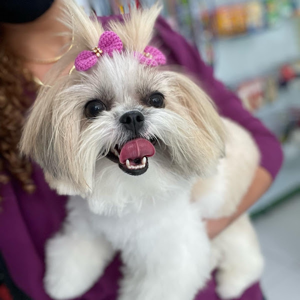 Foto 3 Clínica Veterinária Terra do Sol