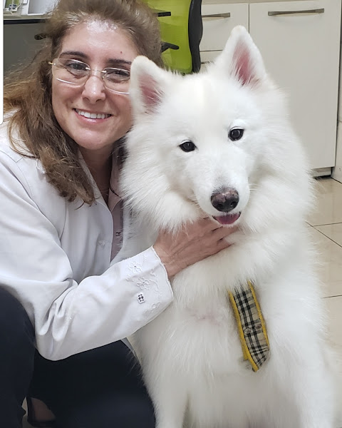 Foto 1 Milldogs Veterinária