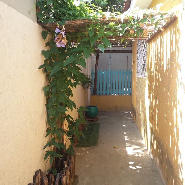 Foto 1 Meu Vira Lata