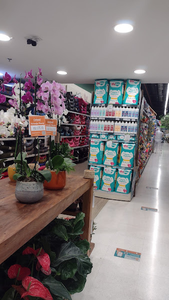 Foto 1 Cobasi | Loja Shopping Iguatemi Fortaleza