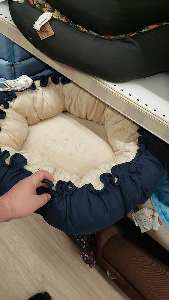 Foto 2 Cobasi | Loja Shopping Iguatemi Fortaleza