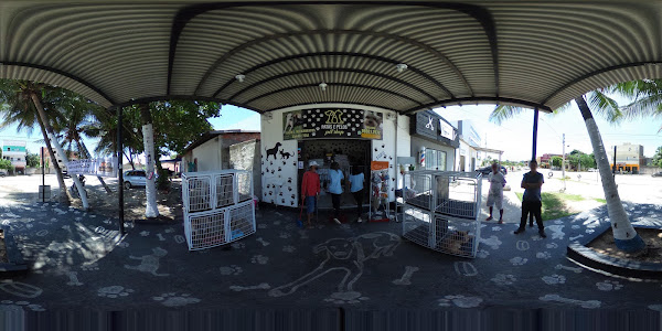 Foto 1 Patas e pelos