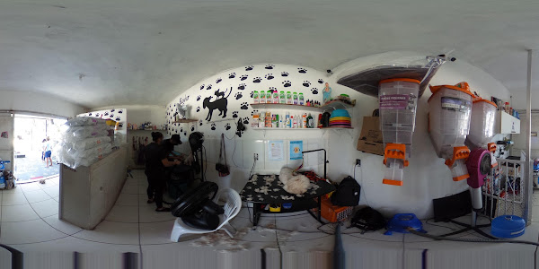 Foto 2 Patas e pelos