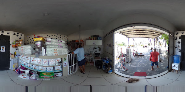 Foto 3 Patas e pelos