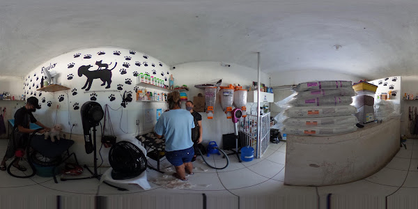 Foto 4 Patas e pelos