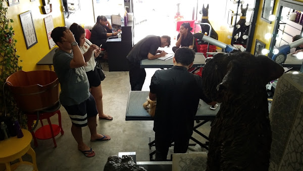 Foto 4 ACADEMY GROOMING RONY PETERSON (CURSO DE BANHO E TOSA)