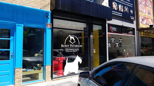 Foto 6 ACADEMY GROOMING RONY PETERSON (CURSO DE BANHO E TOSA)