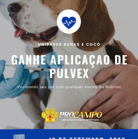 Foto 4 Pro Campo Pet