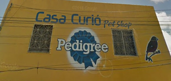 Foto 2 CURIÓ PET SHOP