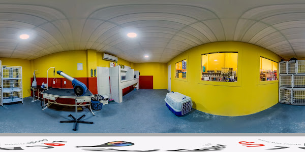 Foto 6 RGM Clínica e Pet Shop