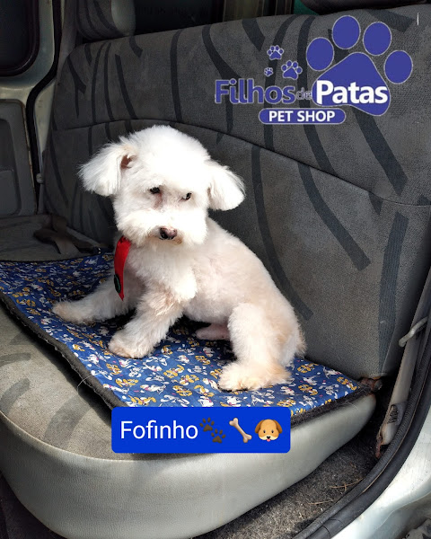 Foto 3 Filhos de Patas Pet Shop Banho e Tosa