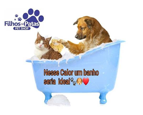 Foto 4 Filhos de Patas Pet Shop Banho e Tosa