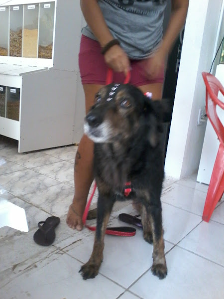 Foto 4 Au & Miau Pet Shop