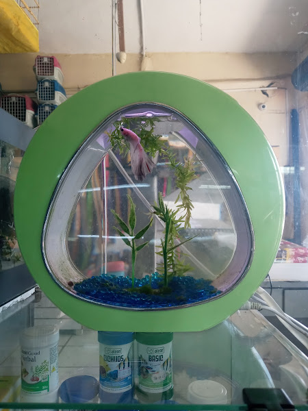 Foto 1 Pet Shop Ricardo