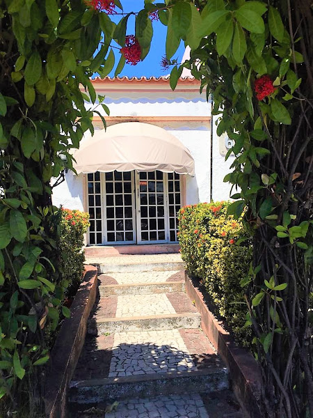 Foto 1 Dra. Aline Melo