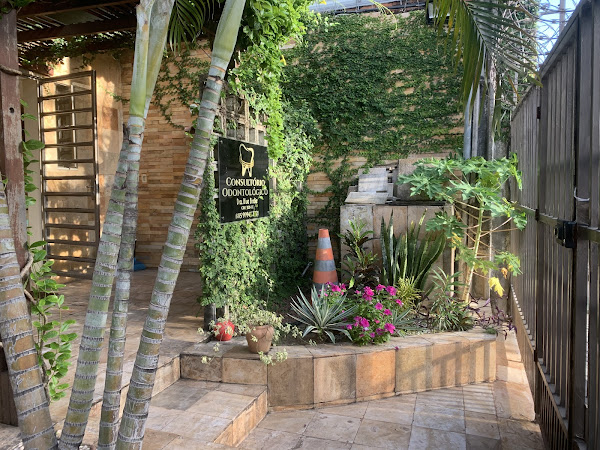 Foto 1 Consultório Odontológico Dra Blue Birdie