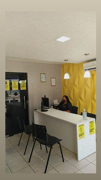 Foto 2 AutoEscola Terra da Luz