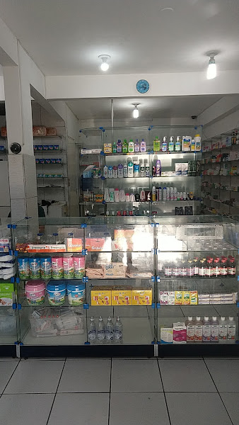 Foto 3 Farmácia Paulo