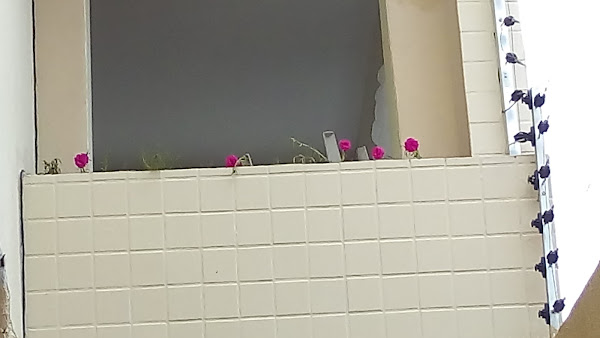 Portela & Martins Advogados