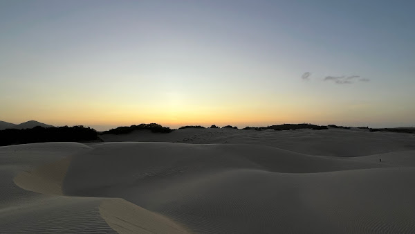 David Vieira Advocacia