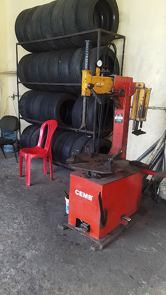 O PINHEIRO O PINHEIRO