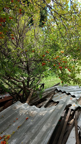 Foto 3 Reboque Renascer Foto 3 Reboque Renascer