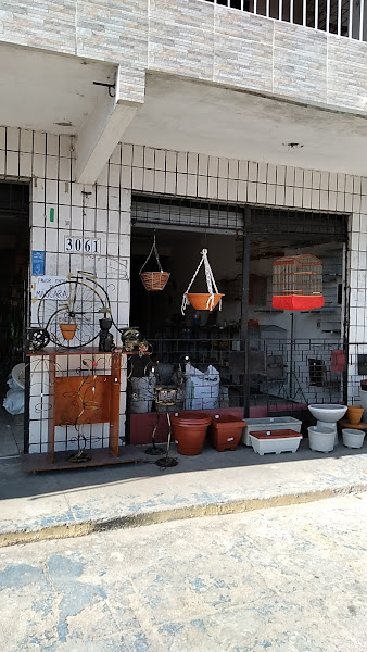 Foto 3 Depósito Castelão